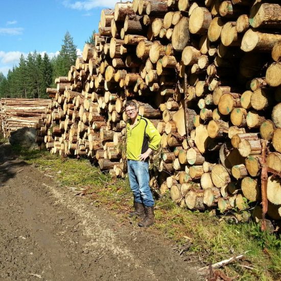 Ut med gjennomsnittsligning – inn med «tømmerkonto»?