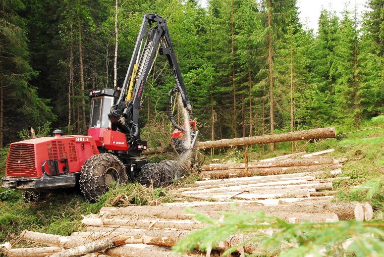 Slutt på gjennomsnittslikning for skog?