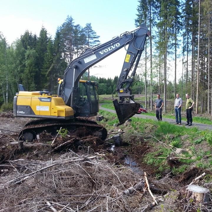 Revidert skjema for utbetaling av skogfond