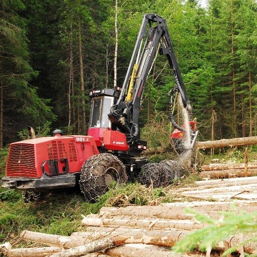 Hogsten økt med 30 %