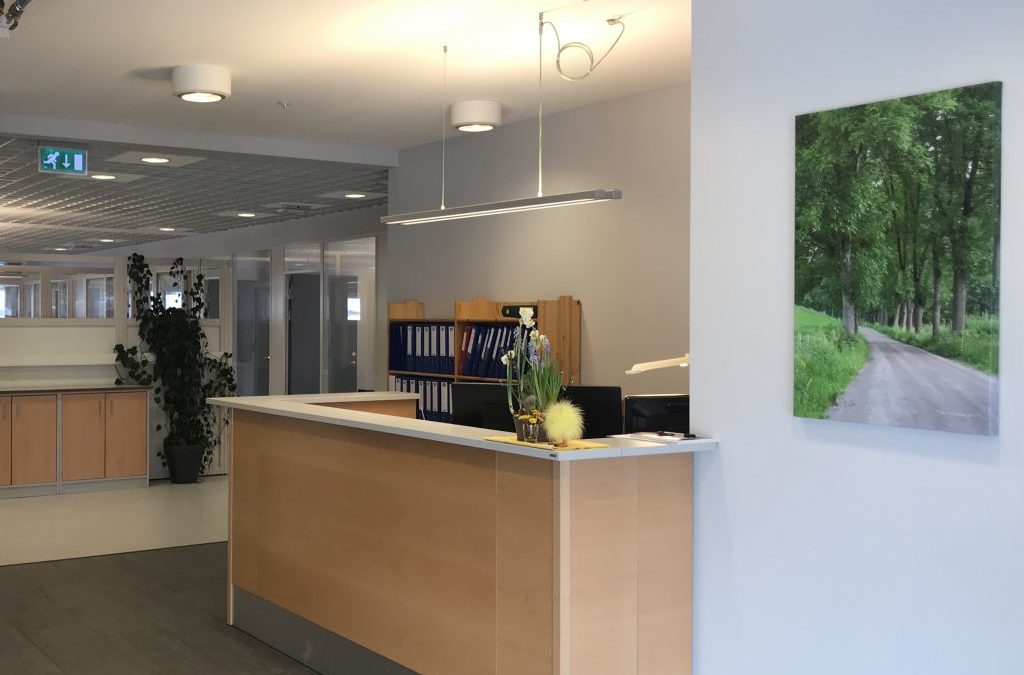 Vekstra Hadeland Regnskap AS har ledig vikariat