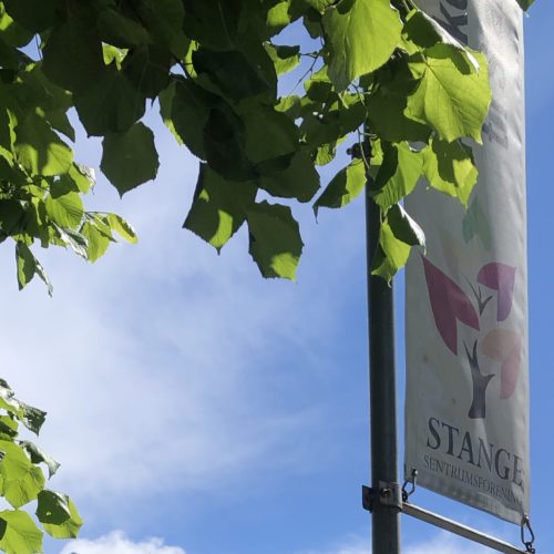 Stange regnskap Vekstra Hedemarken Regnskap AS