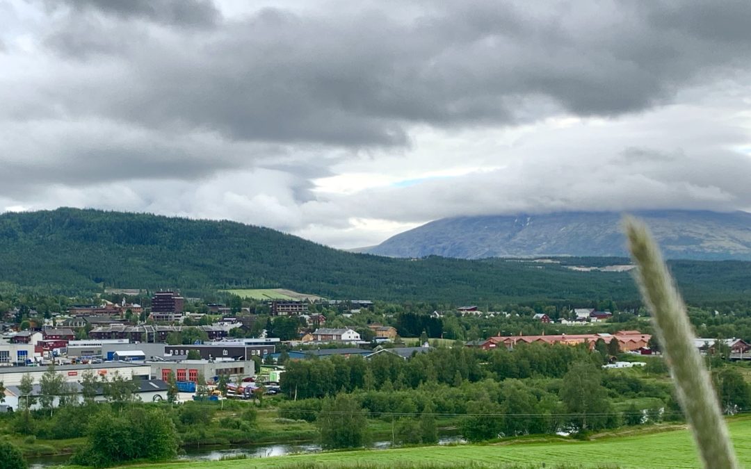 Vekstra Nord-Øst SA har stilling ledig