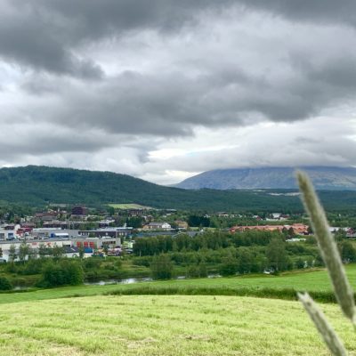 Vekstra Nord-Øst SA har stilling ledig