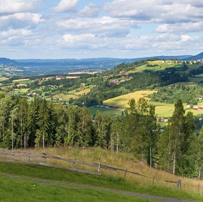 Hadeland Regnskap søker Regnskapsfører med interesse for landbruk