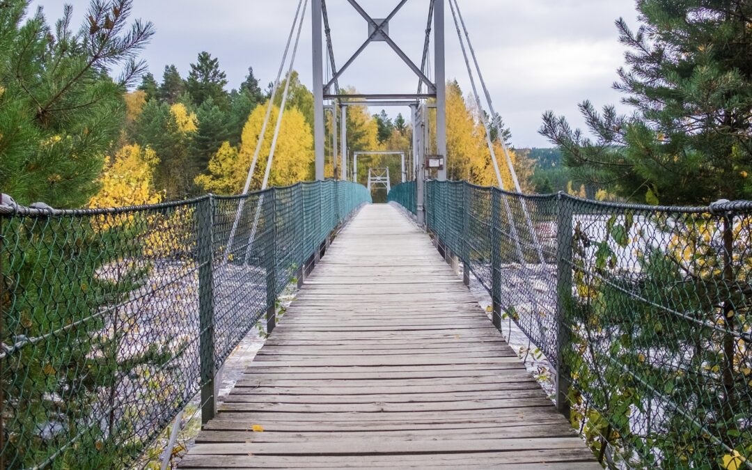 Vekstra Regnskap Elverum