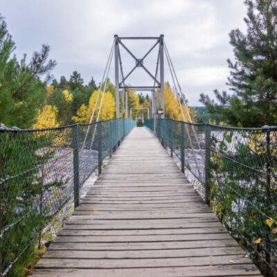 Vekstra Regnskap Elverum