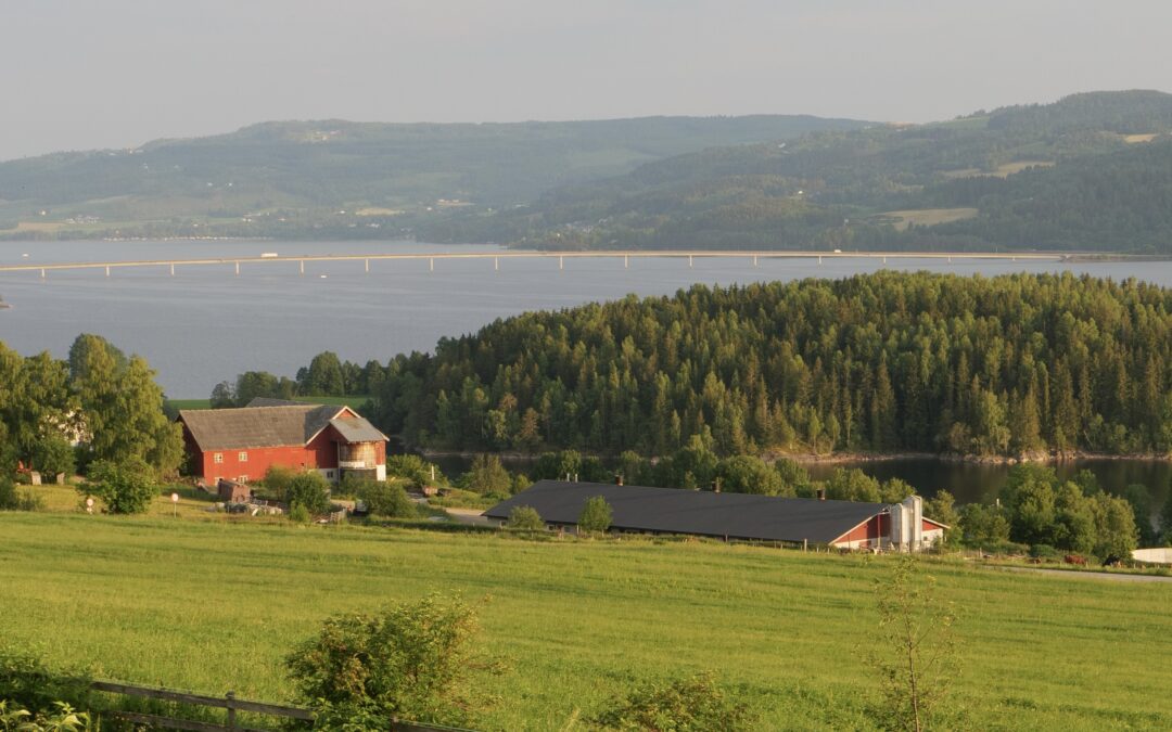 Vekstra Ringsaker søker Statsautorisert regnskapsfører