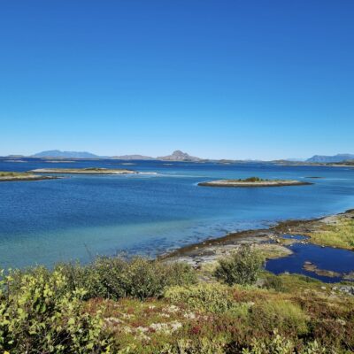 ØkoRåd Sør-Helgeland søker Statsautoriserte regnskapsførere